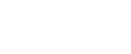 DSG logo image
